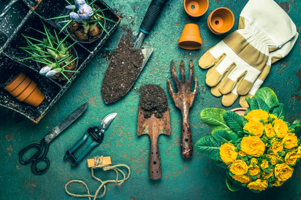 Gärtner Mix essential oil blend