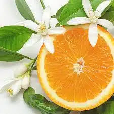 Italian Neroli fragrance oil