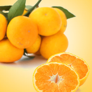 Satsuma fragrance oil
