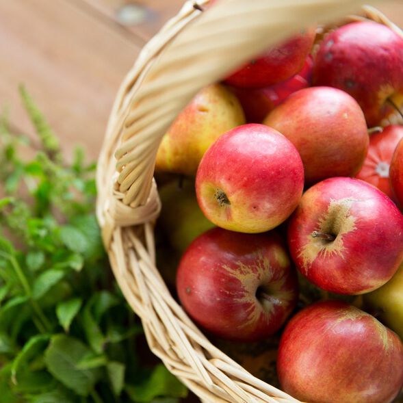 Apple Sage EH fragrance oil