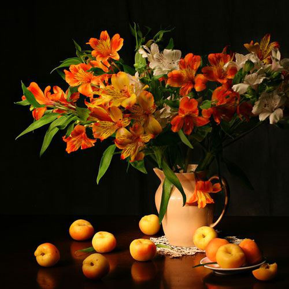 Apricot &amp; Freesia fragrance oil EH