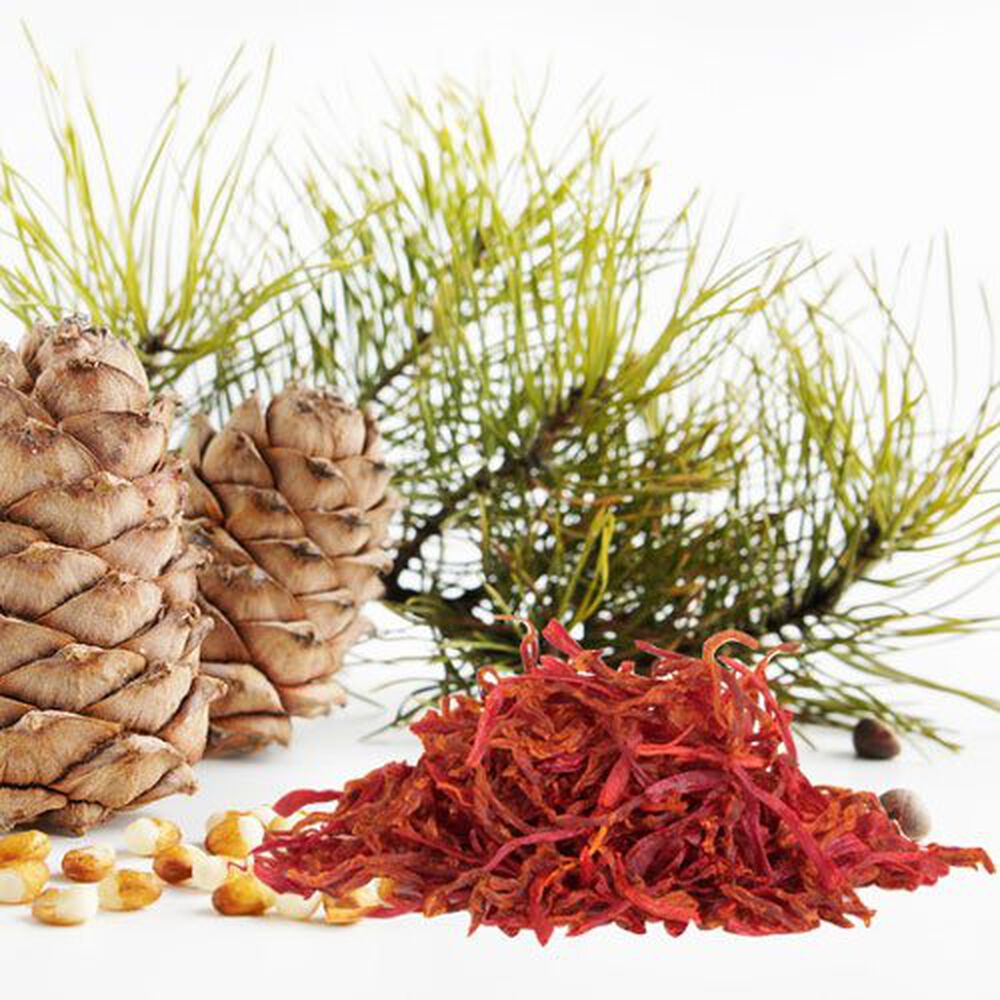 Cedar &amp; Saffron fragrance oil EH