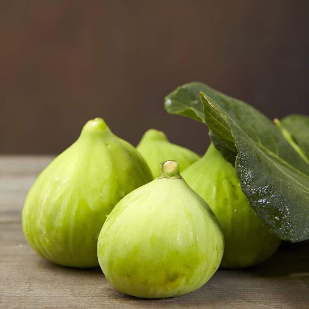 Green Fig fragrance oil EH