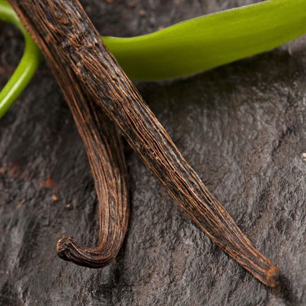 Tahitian Vanilla fragance oil EH