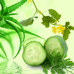 Aloe Vera &amp; Cucumber fragrance oil EH