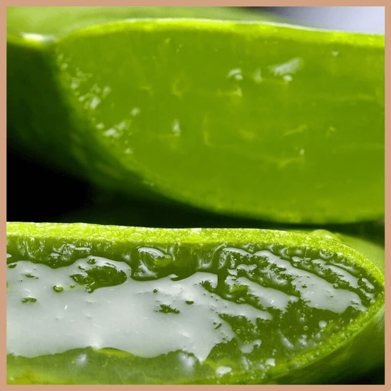 Aloe Vera Gel
