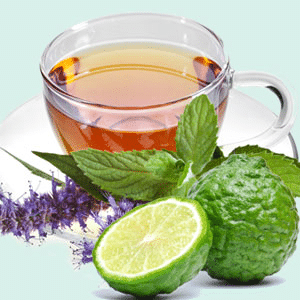 Bergamot &amp;amp; Tarragon Leaves NG fragrance oil