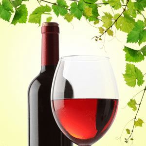 Cabernet Sauvignon NG fragrance oil