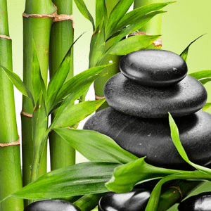Zen Bamboo fragrance oil