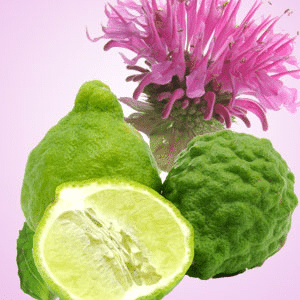 Gingered Bergamot fragrance oil EH