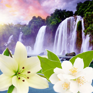 Tahitian Waterfall NG fragrance oil